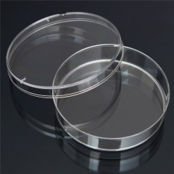 10pcs-55mm-x-15-mm-polystyrene-bacteria-culture-font-b-dish-b-font-disposable-sterilized-font