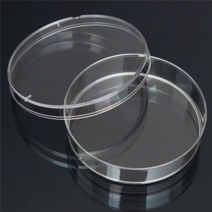 10pcs-55mm-x-15-mm-polystyrene-bacteria-culture-font-b-dish-b-font-disposable-sterilized-font