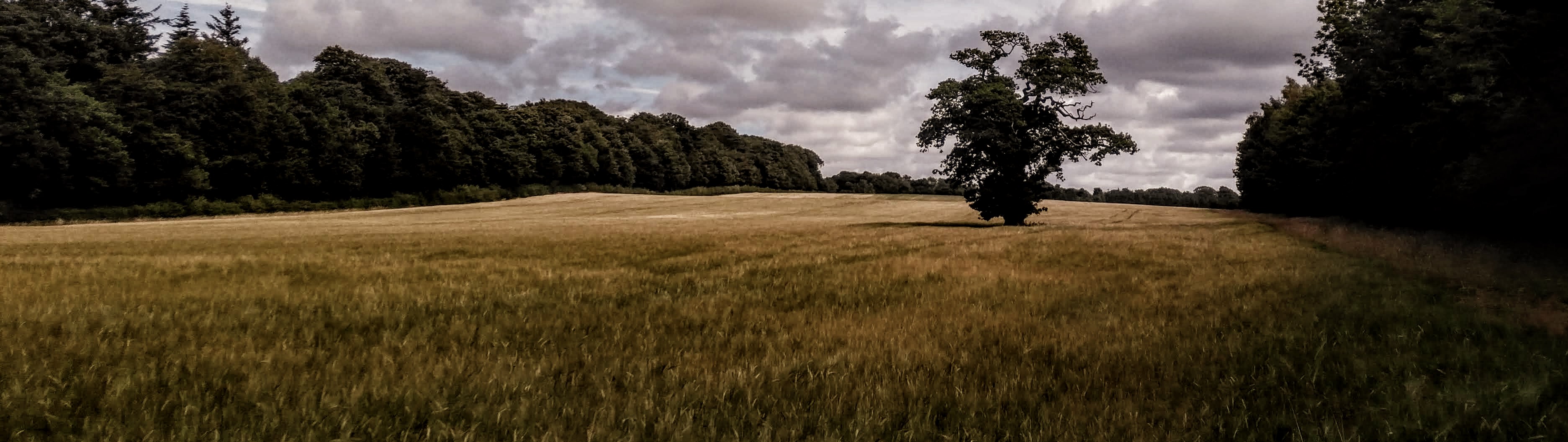 clone tag: 5729826106928065855